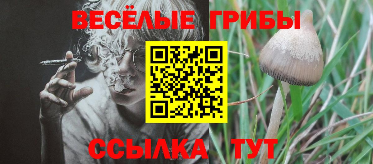 Гусиноозёрск  Псилоцибиновые грибы Psilocybe  Галлюциногенные грибы Psilocybine cubensis  Вход с VPN 